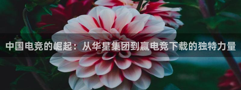 安博电竞怎么样安全吗